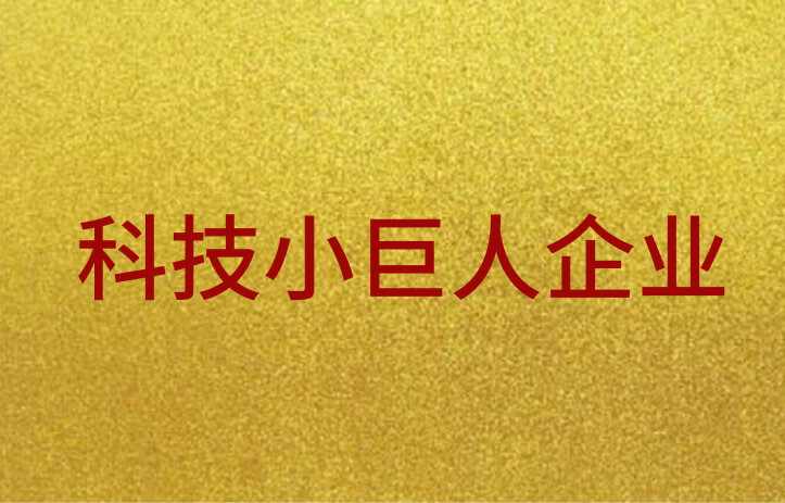 荣誉资质